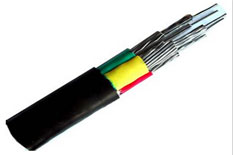 电力电缆(ZR)-FV